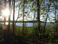 Lake Saimaa shore