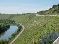 Felsengarten Besigheim