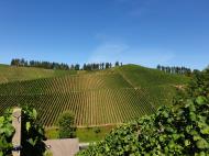 Stauffenberg, Durbach