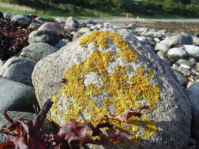 Minard Castle beach