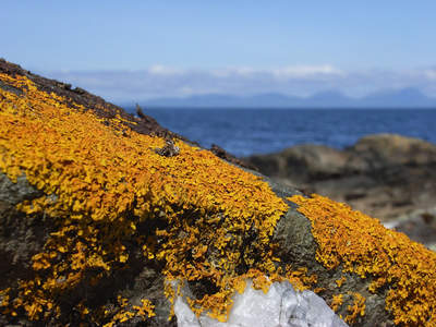 Mull of Kintyre